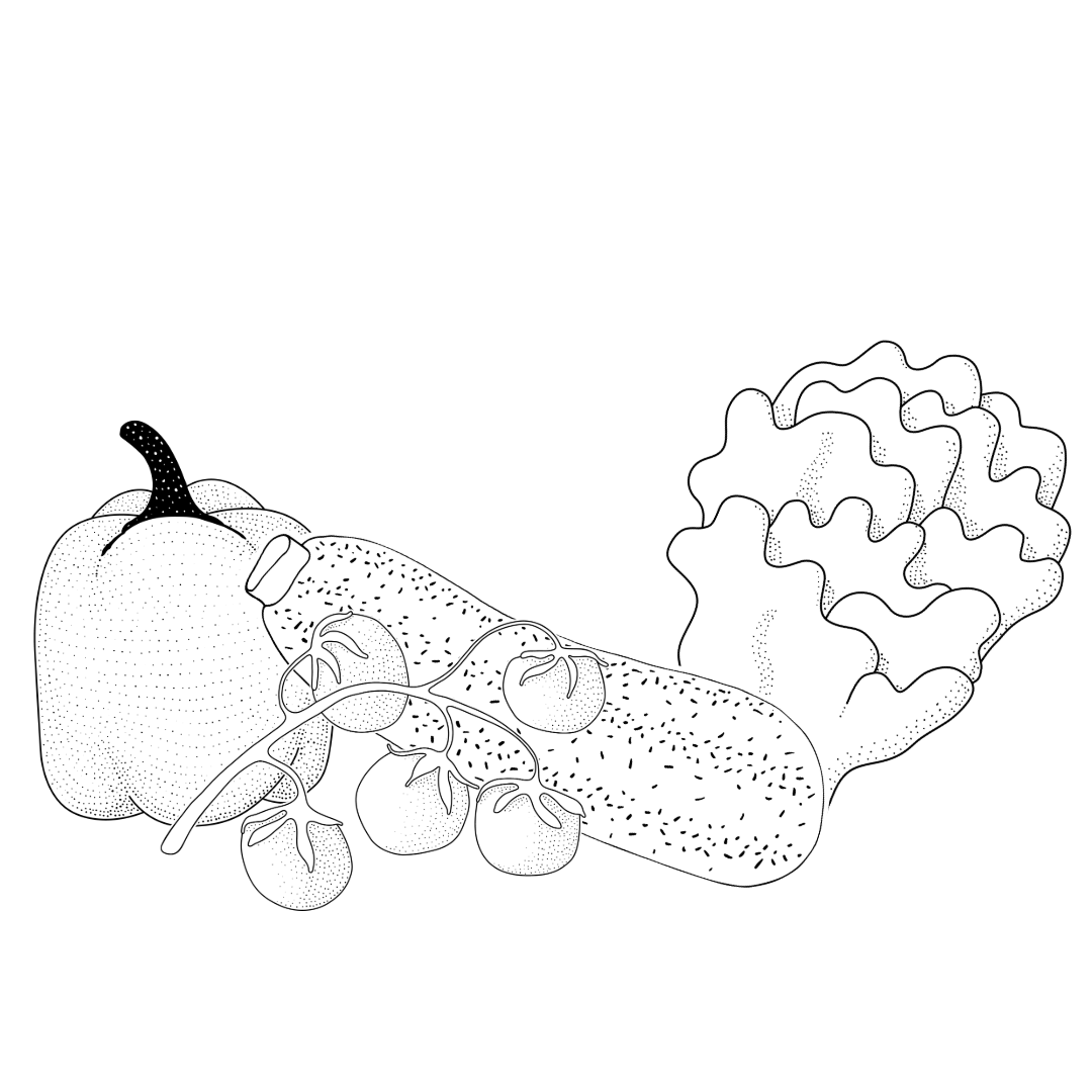 Gemüse Illustrationen von Paprika, Tomaten, Zucchini und Salat