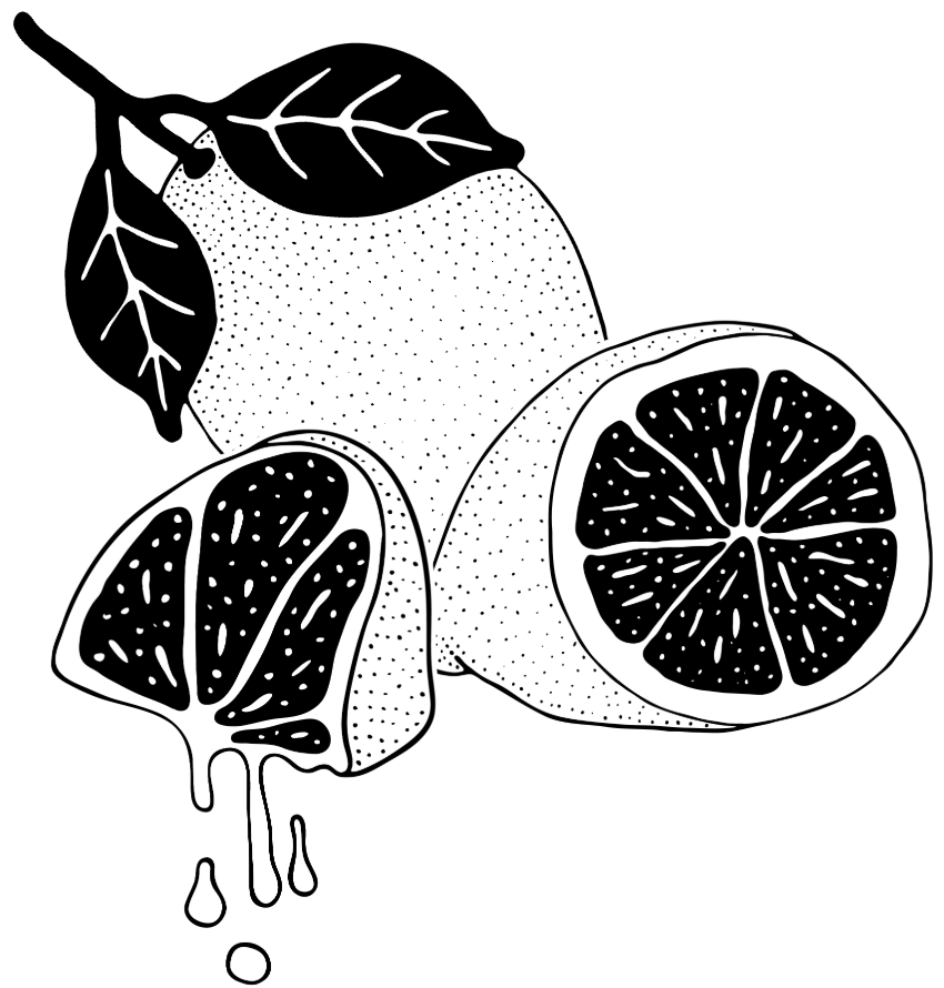 Illustration von Zitronen, eine ganze Zitrone, eine aufgeschnittene Zitrone und eine zerdrückte Zitrone aus der der Saft rausläuft