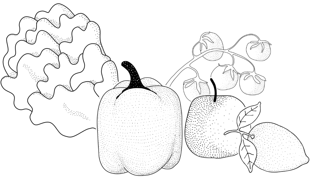 Illustration verschiedener Gemüse- und Obstsorten